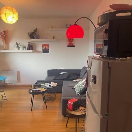 Appartement Au Centre Ville De Toulouse Bagian luar foto