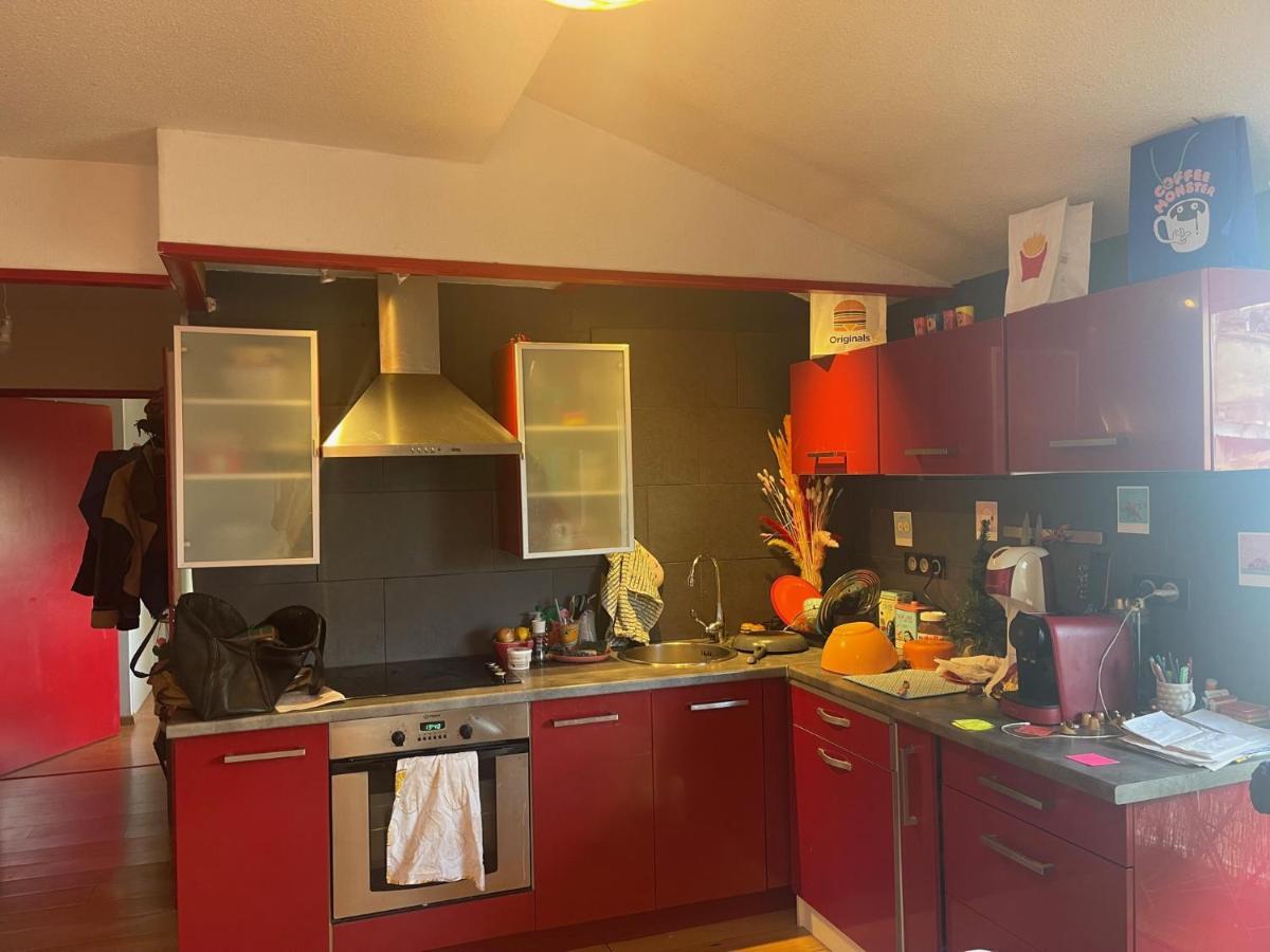 Appartement Au Centre Ville De Toulouse Bagian luar foto