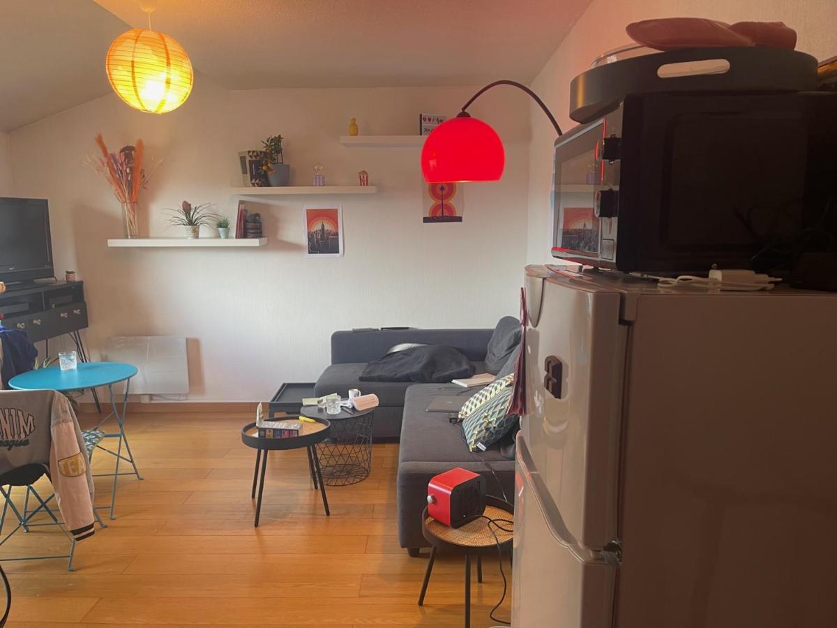 Appartement Au Centre Ville De Toulouse Bagian luar foto